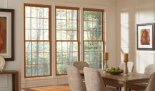 Iron / Steel Windows Designs